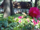 Hofanlage des Mühlenhofes - Ferienwohnungen - Müllerhaus