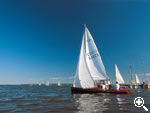 Region - Drebber in der Nähe des Dümmer Sees